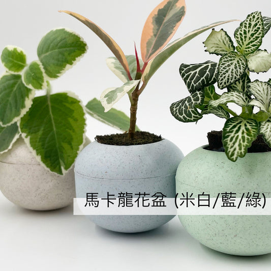 婚禮油畫 (小)